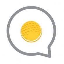 the.fried.egg