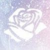 the.rosebay