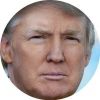 the.trump.train