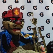 thecincybearcat