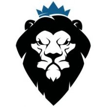 thelionswire