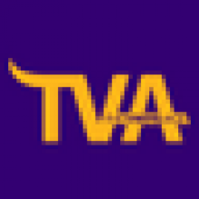 thevikingage