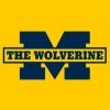 thewolverineon3