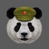 thinking.panda