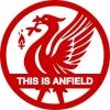 thisisanfield