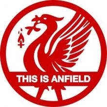 thisisanfield