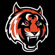 tigermuaythai