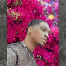 tino.lewis