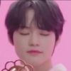 tiny.iele