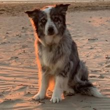 tobyh45