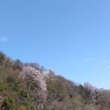 tokokubou