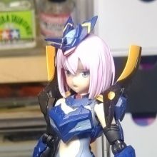 tomo03110209