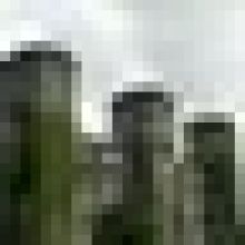 tonia.ysmgo