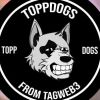 toppdogs.nfts