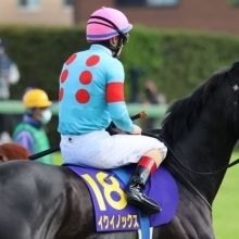 toyonaka.4455