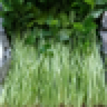 tpointdaisuki