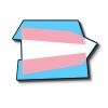 trans.safety