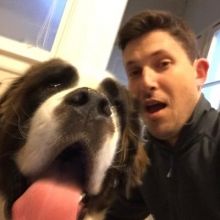 trdoge84