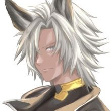 tsuba.teba
