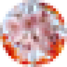 tubaki5296