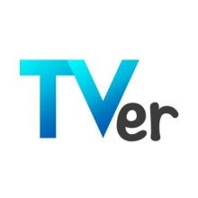 tver.info