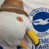 tweetingseagull