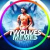 twolves.memes