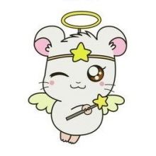 tybubu7