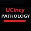 ucincypath