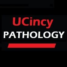 ucincypath