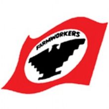 ufwupdates