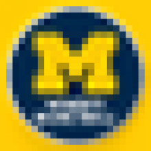 umichwbball