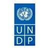 undpnigeria