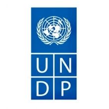 undpnigeria