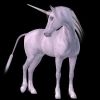 unicorn01478