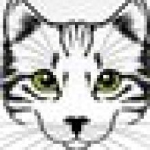 unrulycat2511