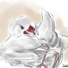 ututu.v
