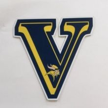 vernonvikingsfb