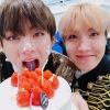 vhopebot