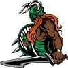 vikingsvball