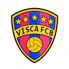 viscafcb13