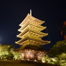 visitkyotonara