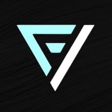 visualfidelity
