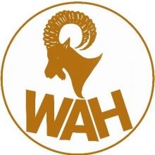 wahnews21