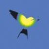 waiel65