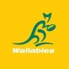wallabies