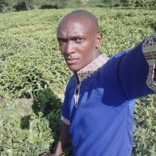 wamalwanickson6
