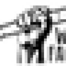 warfactsinfo