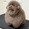 wblonded