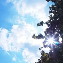 weather.and.law